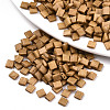 FGB 2-Hole Glass Seed Beads SEED-S031-L-ST1004F-1