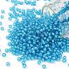 TOHO 8/0 Round Beads X-SEED-TR08-0931-1