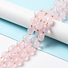 Natural Rose Quartz Beads Strands G-B028-B02-2
