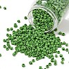 TOHO 6/0 Round Beads SEED-XTR06-0047F-1