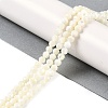 Shell Beads Strands SSHEL-E571-38-4mm-4