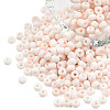 8/0 Opaque Glass Seed Beads SEED-S048-N-017-1