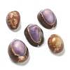 Natural Shell Beads BSHE-H015-04-1