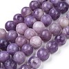 Natural Lepidolite/Purple Mica Stone Beads Strands G-K415-10mm-5