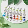 Synthetic & Natural Mixed Gemstone Beaded Pendant Decorations HJEW-JM01484-4