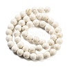 Natural Fossil Beads Strands G-H026-02B-3