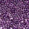 6/0 Glass Seed Beads X-SEED-A016-4mm-213-2