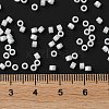 Baking Paint Glass Seed Beads X-SEED-S042-15A-01-5