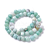 Natural Dyed Agate Imitation Turquoise Beads Strands G-P425-02C-10mm-1