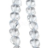 Baking Paint Transparent Glass Beads Strands DGLA-A08-T8mm-KD07-1