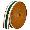 Polyester Grosgrain Ribbon OCOR-WH0105-091C-1