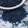 MIYUKI Delica Beads X-SEED-J020-DB1763-1