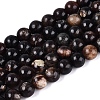 Natural Biotite Beads Strands G-Q616-01B-2