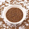 MIYUKI Delica Beads SEED-X0054-DB0505-2