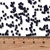 Baking Paint Glass Seed Beads SEED-S042-05B-79-4