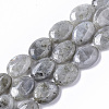 Natural Labradorite Beads Strands X-G-S359-001B-1