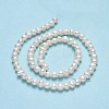 Natural Cultured Freshwater Pearl Beads Strands PEAR-F018-15-3