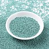 MIYUKI Round Rocailles Beads SEED-G007-RR0481-2
