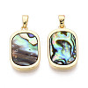 Natural Paua Shell Pendants KK-T073-64A-1