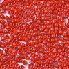 Baking Paint Glass Seed Beads SEED-S042-05A-05-3