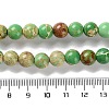 Dyed Natural Regalite/Imperial Jasper/Sea Sediment Jasper Beads Strands G-B124-C01-12-5