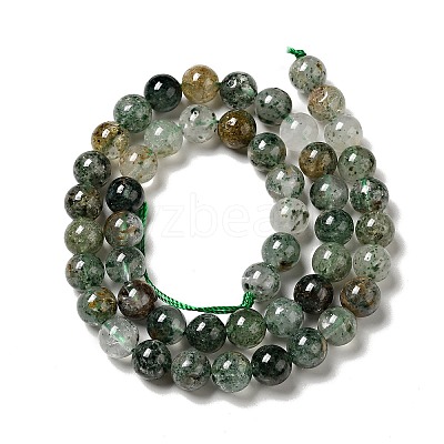 Natural Fuchsite Beads Strands G-K285-40B-1-1