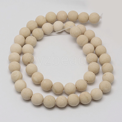 Natural Fossil Beads Strands G-D694-8mm-1