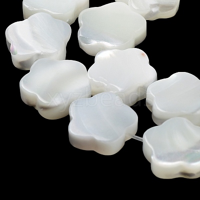 Natural Trochus Shell Beads Strands BSHE-P033-07-1