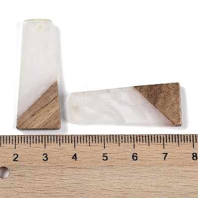 Resin & Wood Pendants WOOD-F015-04D-1
