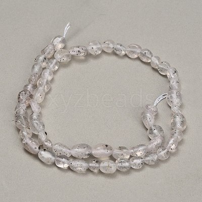 Natural Biotite Beads Strands GG-CBAC61B-B02-02-B-1