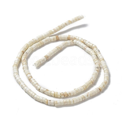 Natural Howlite Beads Strands G-E604-A01-C-1