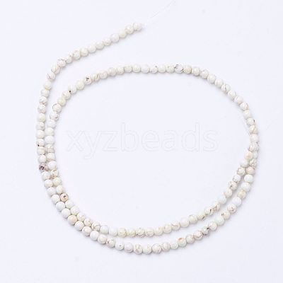 Natural Magnesite Bead Strands X-G-P286-10-3mm-1