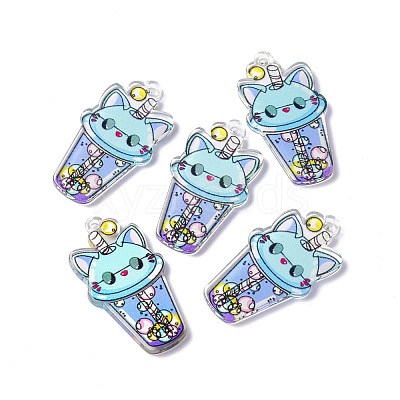 Transparent Printed Acrylic Pendants TACR-G042-01E-1