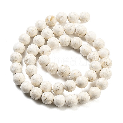 Natural Fossil Beads Strands G-H026-02B-1