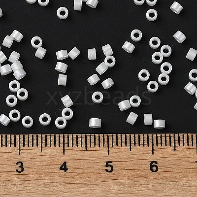 Baking Paint Glass Seed Beads X-SEED-S042-15A-01-1