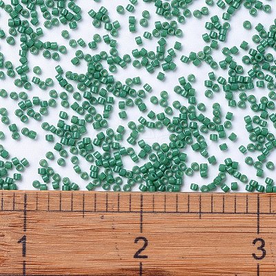 MIYUKI Delica Beads SEED-X0054-DB2127-1