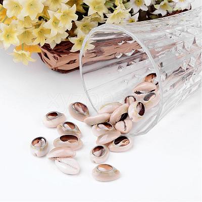 Natural Cowrie Shell Beads X-BSHE-S053-1