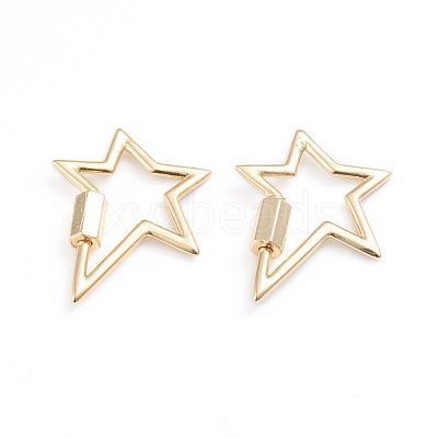 Brass Screw Carabiner Lock Charms ZIRC-I041-02G-1