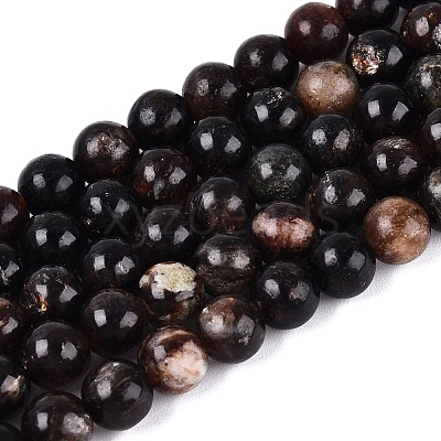 Natural Biotite Beads Strands G-Q616-01B-1