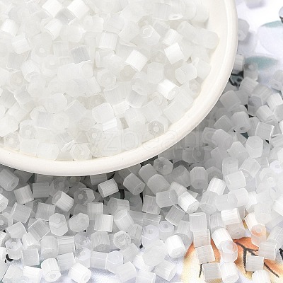 Glass Seed Beads X1-SEED-H002-D-A801-1