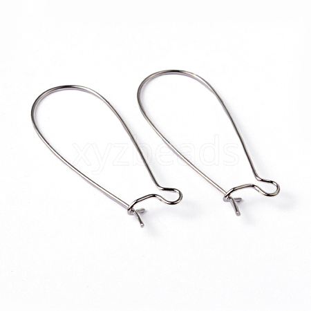 Brass Hoop Earring Wires Hook Earring Making Findings X-EC221-1