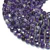 Natural Amethyst Beads Strands G-K389-A09-01-3