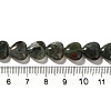 Natural African Bloodstone Beads Strands G-R190-10mm-56-5