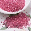 MIYUKI Delica Beads SEED-J020-DB0075-1