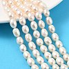Natural Cultured Freshwater Pearl Beads Strands PEAR-I007-01D-07C-1