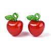 Korea Acrylic Pendants OACR-L009-H02-1