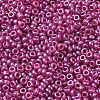 Baking Paint Glass Seed Beads SEED-P006-03A-07-3