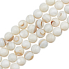 CHGCRAFT 3 Strands Natural Freshwater Shell Beads Strands SHEL-CA0001-007-1