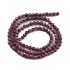 Natural Ruby Beads Strands G-I379-A01-01-9