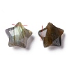 Natural Labradorite Charms X-G-H241-04C-2